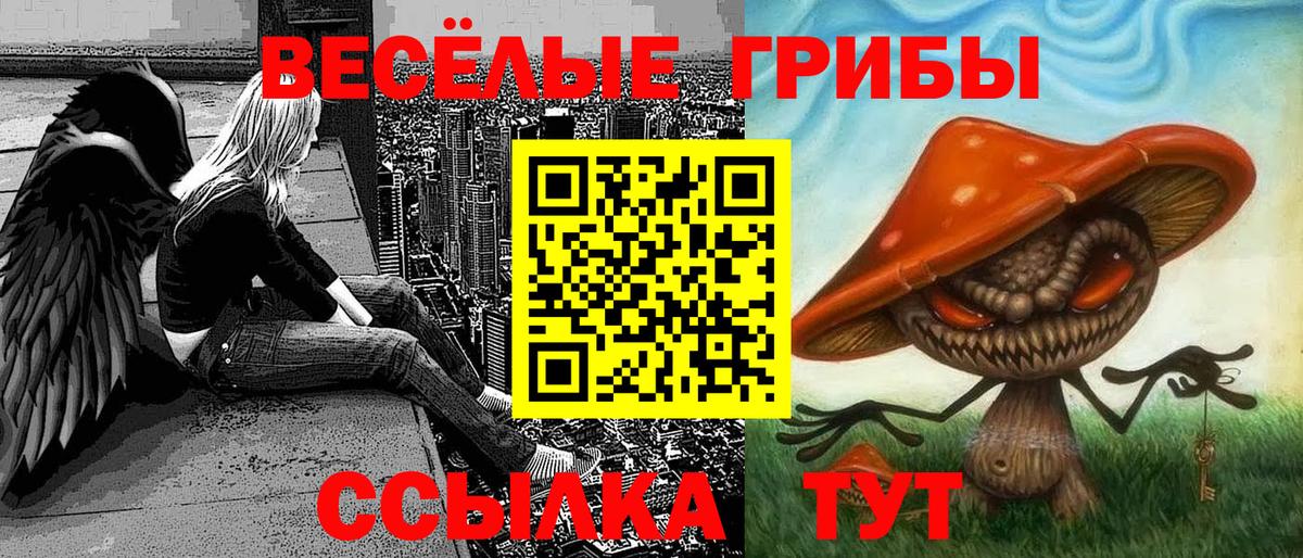 Псилоцибиновые грибы Cubensis  Псилоцибиновые грибы Psilocybine cubensis  Вход с VPN  магазин  наркотиков  Волгоград 