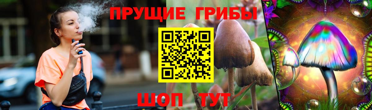 Галлюциногенные грибы GOLDEN TEACHER Волгоград